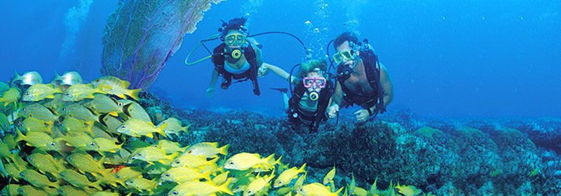 snorkeling-header2