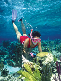 snorkeling-photo